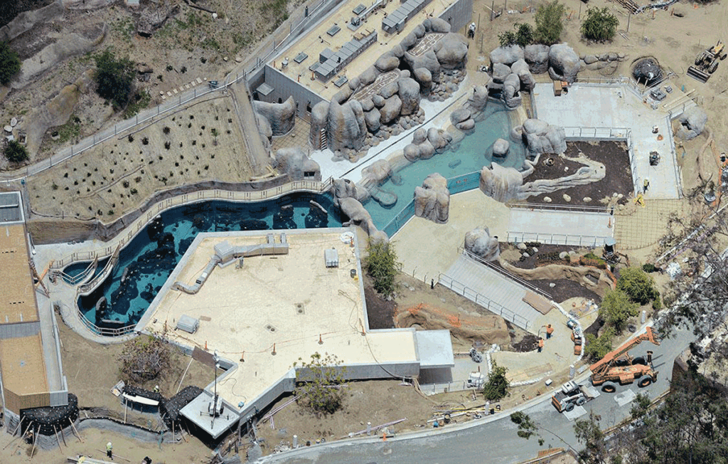 San Diego Rocks Zoo Architect